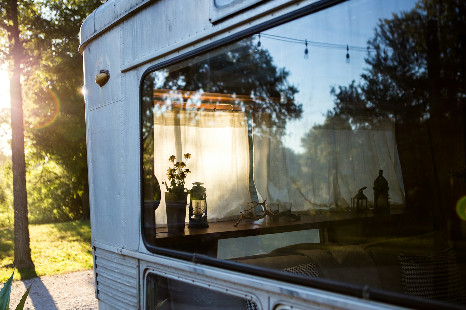 trees reflecting on caravan window, mobile home